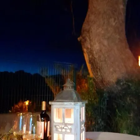 Casa Do Carvalho Βίλα Calheta (Madeira)