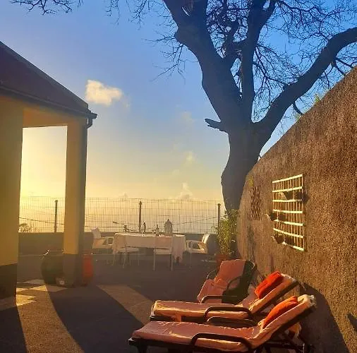 Casa Do Carvalho