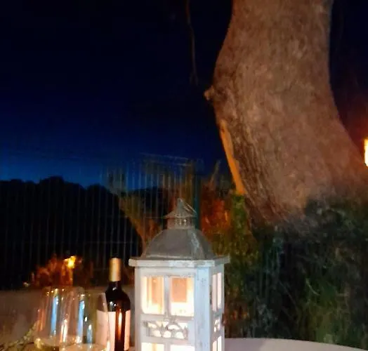 Casa Do Carvalho 别墅 卡列塔