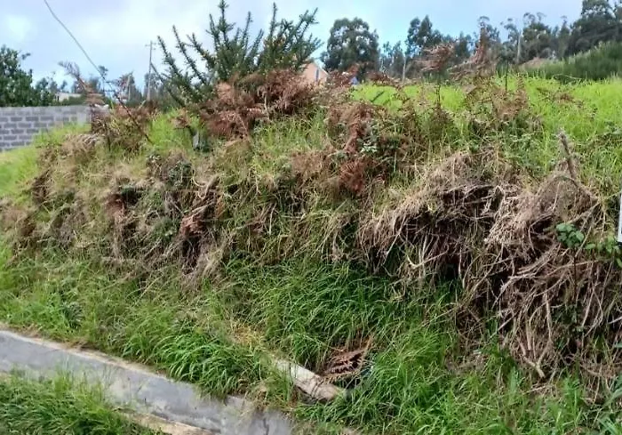 Casa Do Carvalho 别墅 卡列塔