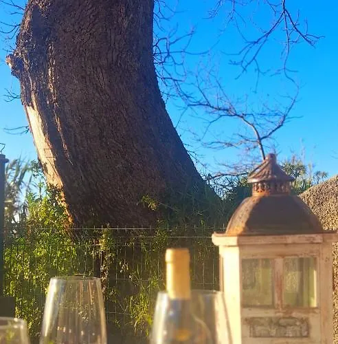 Casa Do Carvalho Villa Calheta (Madeira)