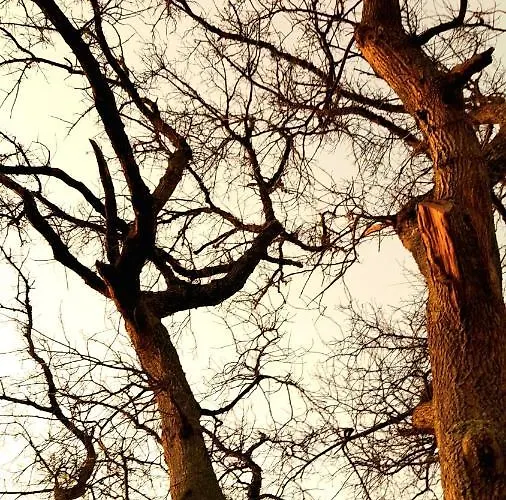 Casa Do Carvalho Calheta (Madeira)