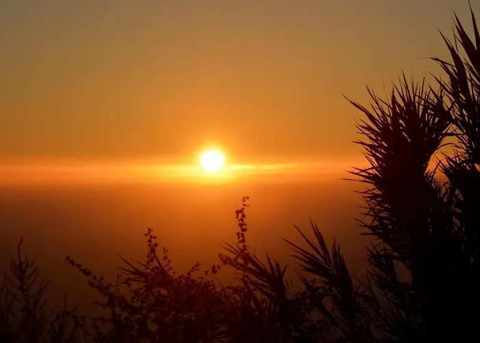 Casa Do Carvalho Villa Calheta (Madeira)